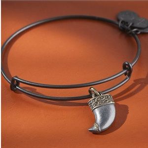 Alex and Ani
Two-Tone Tiger's Claw Bracelet